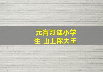 元宵灯谜小学生 山上称大王